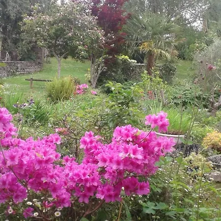 Restaurant Du Pont D'abense Ξενοδοχείο Tardets-Sorholus