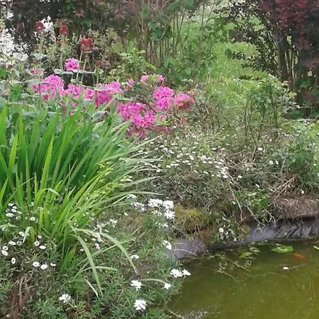 Restaurant Du Pont D'abense Ξενοδοχείο