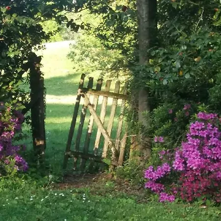 Restaurant Du Pont D'abense Ξενοδοχείο Tardets-Sorholus