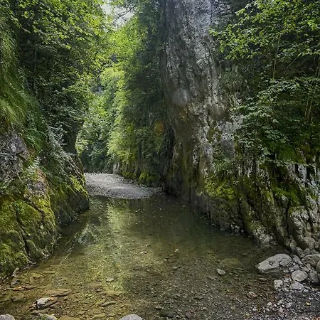 Restaurant Du Pont D'abense Ξενοδοχείο 2*