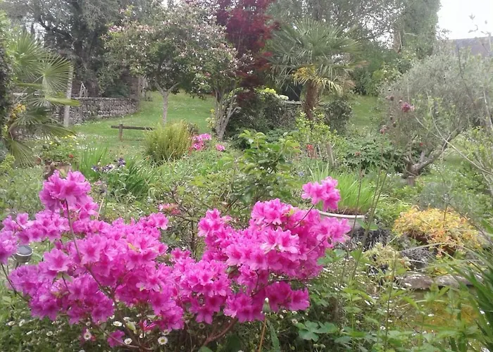 Restaurant Du Pont D'abense Hotel Tardets-Sorholus