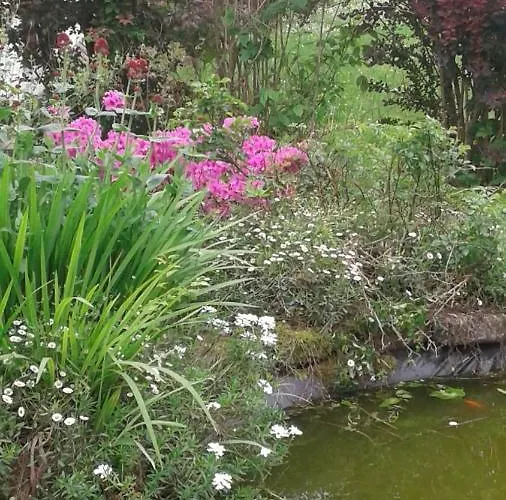 Restaurant Du Pont D'abense Hotel