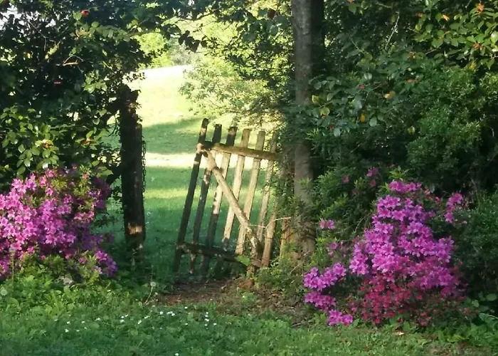 Restaurant Du Pont D'abense Hotel Tardets-Sorholus