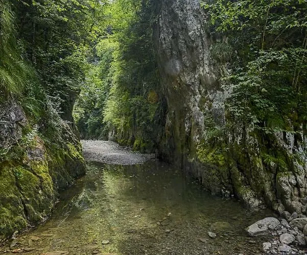 Restaurant Du Pont D'abense Hotel 2*
